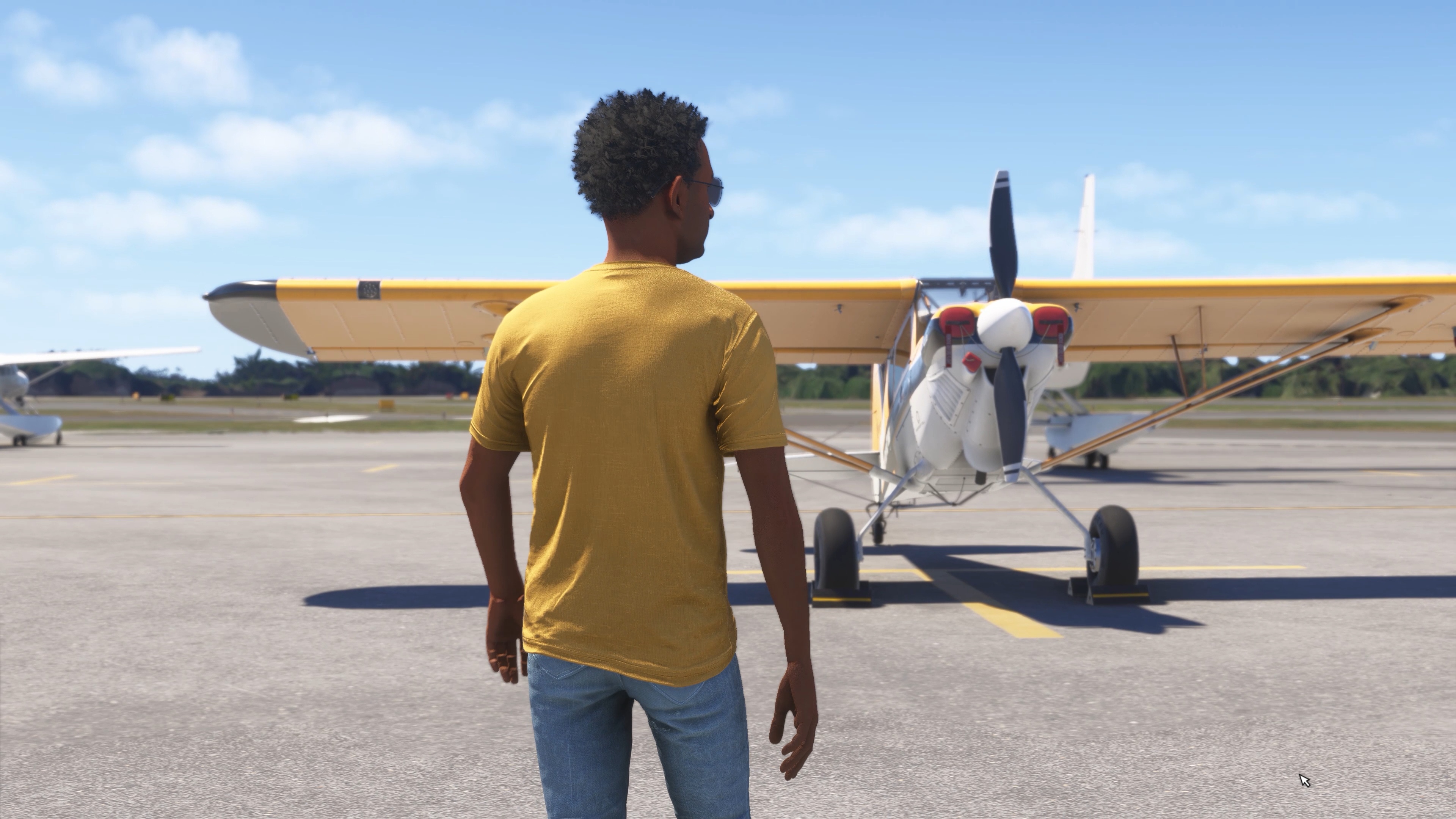 Microsoft Flight Simulator 2024 - Imagen 13